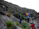 photo thumbnail #5