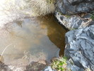 photo thumbnail #15
