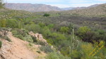 photo thumbnail #7