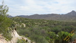 photo thumbnail #14