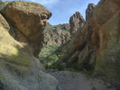 photo thumbnail #2