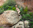 photo thumbnail #6