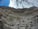 photo thumbnail #13