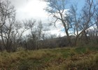 photo thumbnail #14