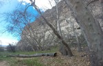 photo thumbnail #15