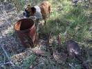 photo thumbnail #12