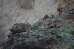photo thumbnail #13
