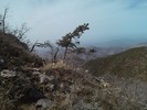 photo thumbnail #11