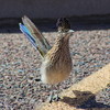 photo thumbnail #2
