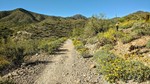 photo thumbnail #2