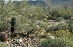 photo thumbnail #6