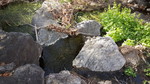 photo thumbnail #9