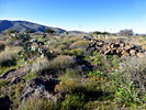 photo thumbnail #7