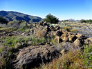 photo thumbnail #8