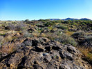 photo thumbnail #9