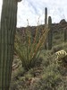 photo thumbnail #2