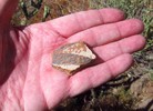 photo thumbnail #14