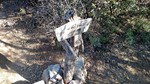 photo thumbnail #5