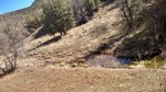 photo thumbnail #15