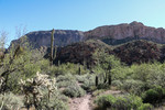 photo thumbnail #2
