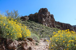 photo thumbnail #7