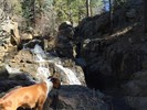 photo thumbnail #5