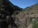 photo thumbnail #11