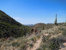 photo thumbnail #4