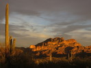 photo thumbnail #1