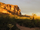 photo thumbnail #2