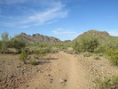 photo thumbnail #2