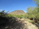photo thumbnail #5