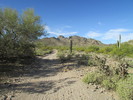 photo thumbnail #7