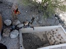 photo thumbnail #2