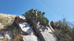 photo thumbnail #11