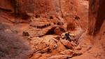 photo thumbnail #7