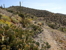 photo thumbnail #8