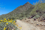photo thumbnail #5