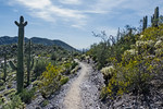 photo thumbnail #11