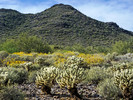 photo thumbnail #14