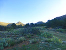 photo thumbnail #1