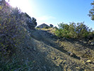 photo thumbnail #10