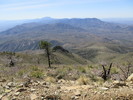 photo thumbnail #1