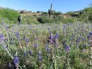 photo thumbnail #6