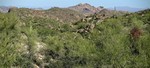 photo thumbnail #5