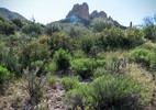 photo thumbnail #14
