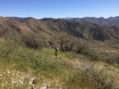 photo thumbnail #6