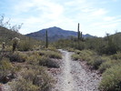 photo thumbnail #2