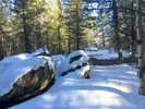 photo thumbnail #5