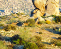 photo thumbnail #1